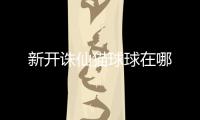 新开诛仙猫球球在哪